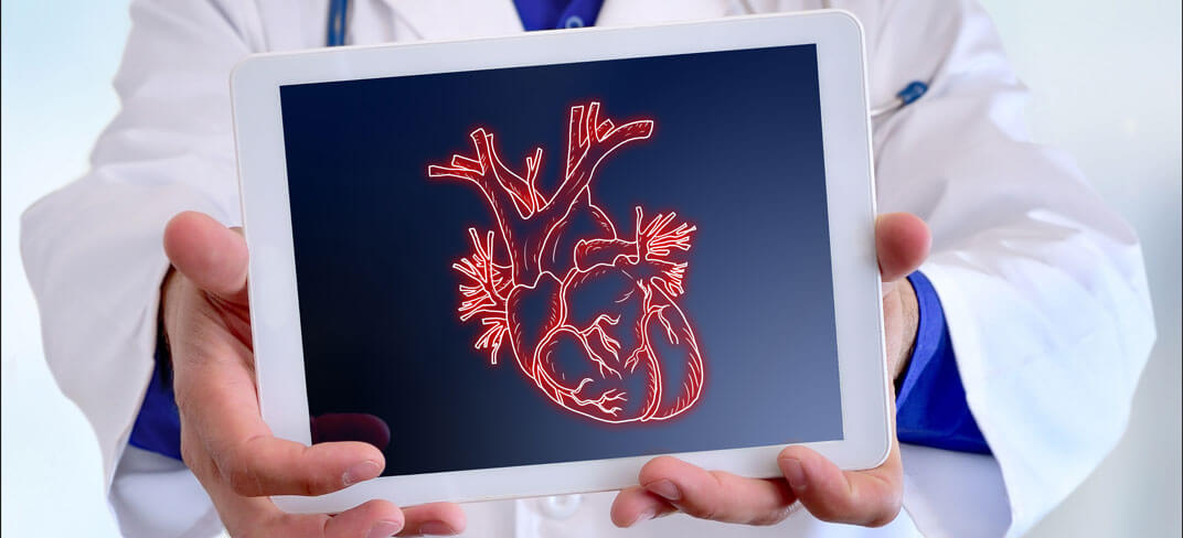 Heart and Vascular
